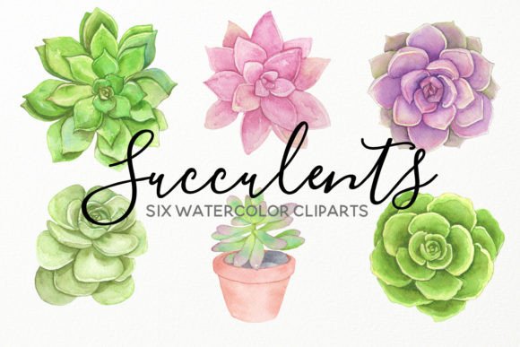 Download Water Succulents Hand Painted Cliparts - Premium Resources